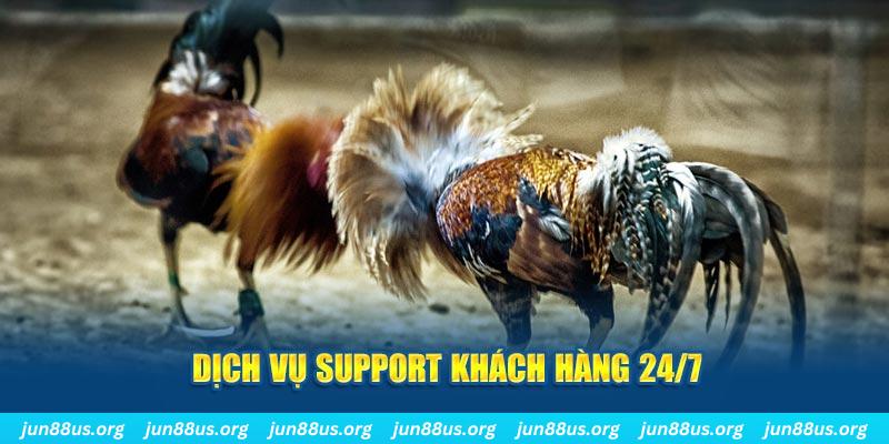 kingfun ÁT CHỦ BÀI GIÀNH LẤY ZHUANG NIUNIU ( XEM 4 LÁ )