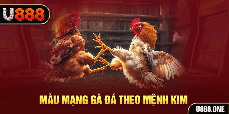 kingfun Cỡ bảy
