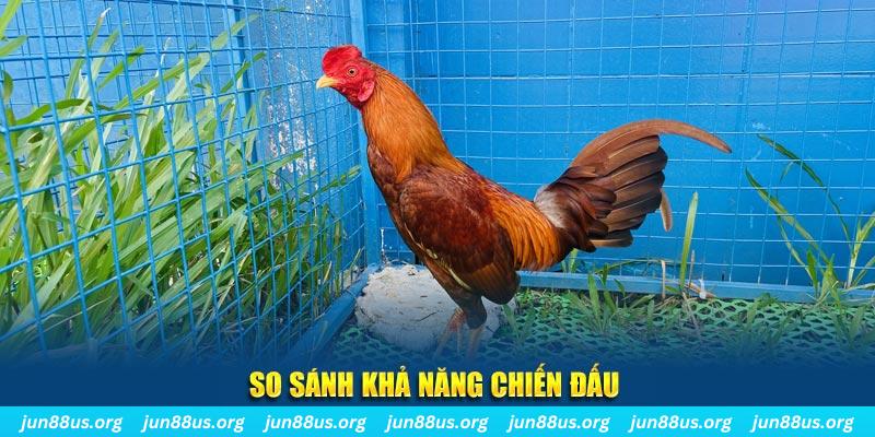 kingfun CQ9 Điện Tử