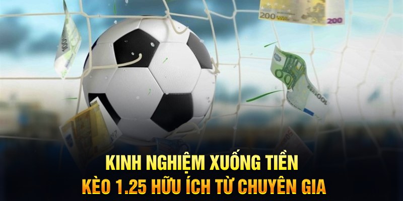 kingfun TCG Xổ Số
