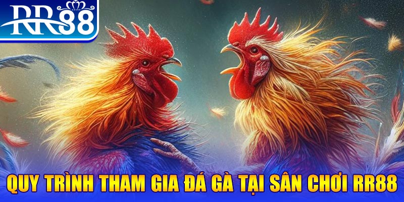 kingfun đá gà cam 67