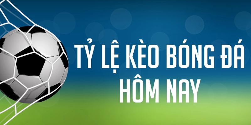 kingfun gà chọi c1 mới nhất