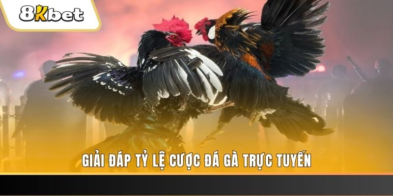 kingfun xổ số đài miền trung