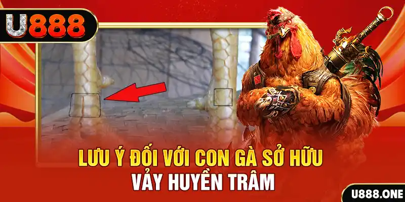 kingfun kết quả xổ số miền nam hôm nay