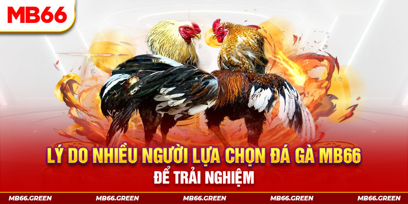 kingfun xổ số miền bắc thứ bảy hàng tuần