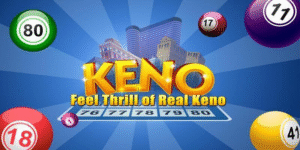 kingfun gà chọi c1 thomo
