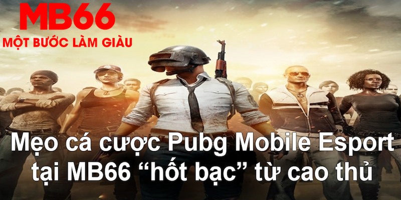 kingfun VA Bắn cá