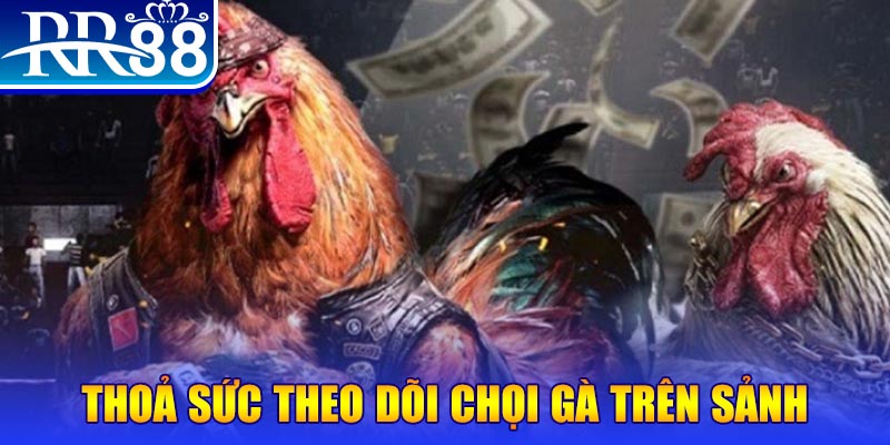 kingfun trực tiếp đá gà c1