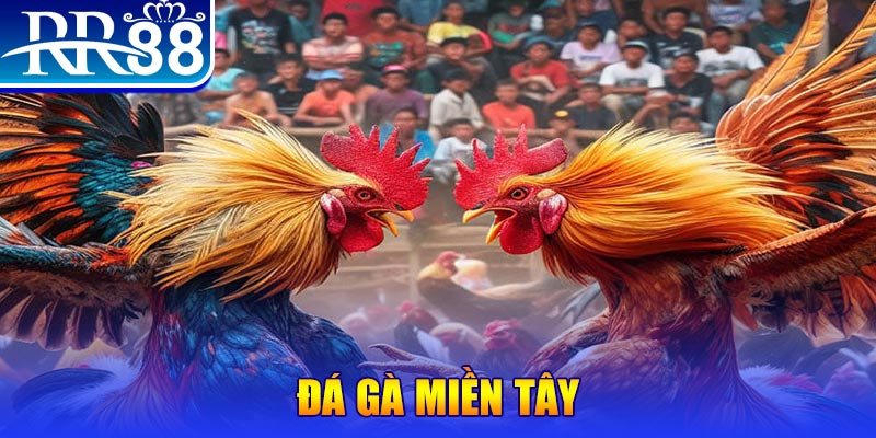 kingfun no hu doi thuong ai