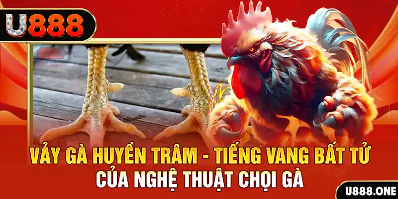 kingfun xổ số miền bắc ngày hôm nay