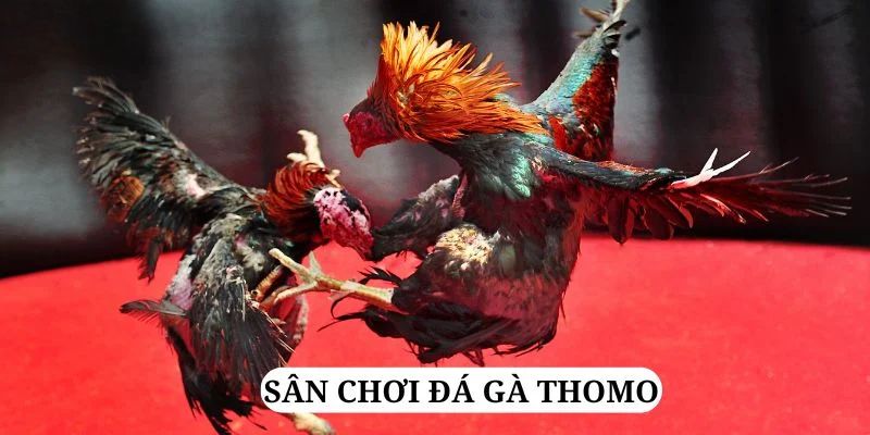 kingfun trực tiếp xổ số miền bắc
